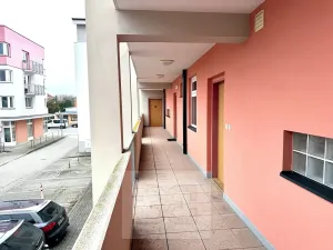 Pronájem bytu 1+1, České Budějovice, 51 m2