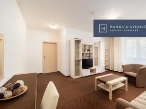 Pronájem bytu 2+1, Brno, Anenská, 52 m2