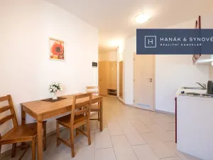 Pronájem bytu 2+1, Brno, Anenská, 52 m2