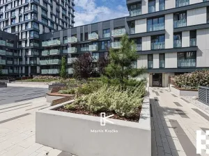 Pronájem bytu 2+kk, Praha - Žižkov, Olšanská, 52 m2