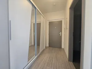 Pronájem bytu 1+kk, Libčice nad Vltavou, Pod Hliníkem, 33 m2