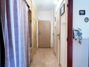 Prodej bytu 2+1, Lovosice, Sady pionýrů, 51 m2