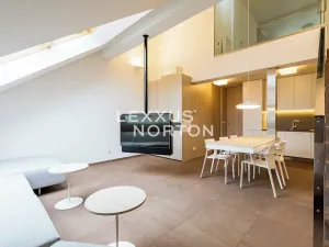 Pronájem bytu 3+kk, Praha - Nové Město, Záhořanského, 109 m2