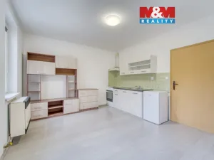 Pronájem bytu 1+kk, Štěnovice, Čižická, 28 m2