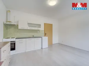 Pronájem bytu 1+kk, Štěnovice, Čižická, 28 m2