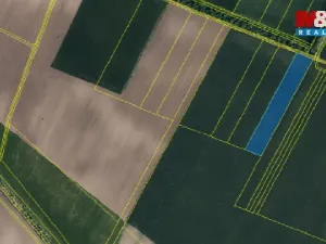 Prodej pole, Troskotovice, 10000 m2