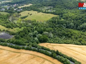 Prodej louky, Chabařovice - Roudníky, 46243 m2