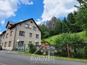 Pronájem bytu 1+1, Plavy, 45 m2