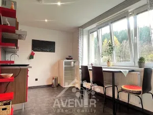 Pronájem bytu 1+1, Plavy, 45 m2