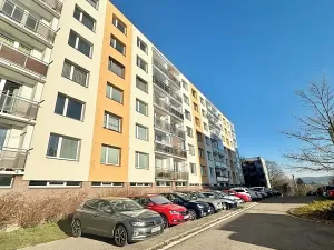 Prodej bytu 3+1, Ledeč nad Sázavou, Stínadla, 75 m2
