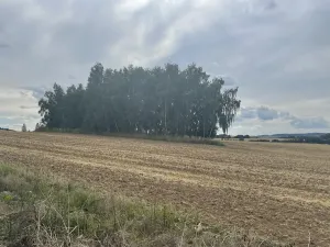 Prodej pole, Krásněves, 12 m2