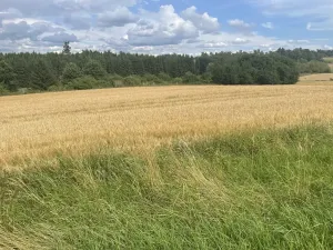 Prodej pozemku, Krásněves, 12 m2