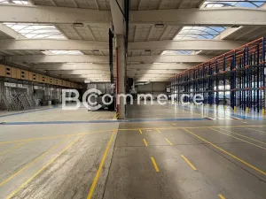 Pronájem skladu, Brno, Vídeňská, 2960 m2