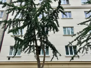 Pronájem bytu 2+kk, Praha - Libeň, U pošty, 55 m2