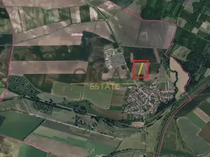 Prodej pole, Jevišovka, 4245 m2