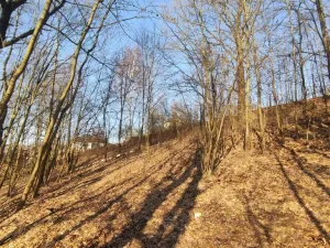 Prodej pozemku, Nemile, 705 m2