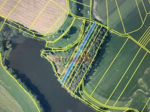 Prodej lesa, Čistá, 1294 m2