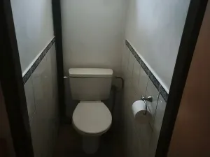 Pronájem rodinného domu, Strančice, Na Vráž, 66 m2