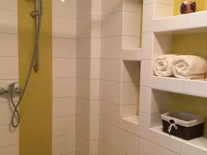 Prodej ubytování, Olomouc, Rejskova, 154 m2