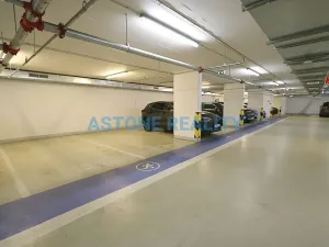 Pronájem bytu 2+kk, Praha - Žižkov, Olšanská, 59 m2