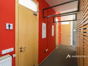 Pronájem kanceláře, Brno, 248 m2