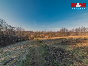 Prodej zemědělské usedlosti, Havířov - Dolní Datyně, Datyňská, 89 m2