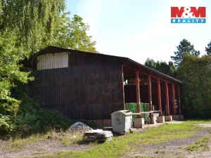 Prodej výrobních prostor, Miletín, Lhotova, 22000 m2