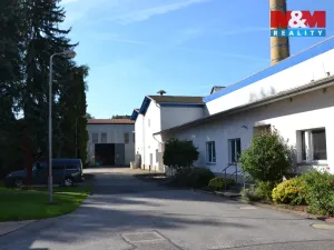 Prodej výrobních prostor, Miletín, Lhotova, 22000 m2