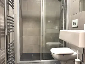 Pronájem bytu 1+kk, Praha - Žižkov, Kališnická, 40 m2