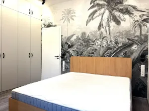 Pronájem bytu 2+kk, Praha - Žižkov, Blahníkova, 51 m2