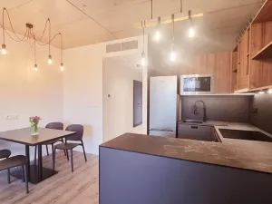 Pronájem bytu 2+kk, Brno, V rejích, 49 m2