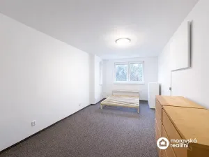 Prodej bytu 1+1, Brno, Viniční, 54 m2
