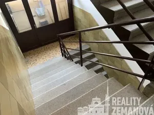 Pronájem bytu 1+1, Praha - Vinohrady, Řipská, 48 m2