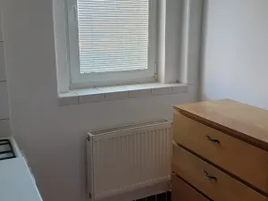 Pronájem bytu 2+kk, Novosedlice, Míru, 40 m2