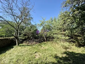 Pronájem zahrady, Olomouc - Droždín, Akátová, 1528 m2