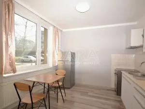 Prodej bytu 1+1, Milovice, Višňová, 42 m2