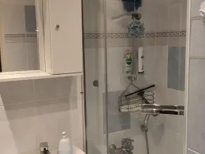 Prodej bytu 1+kk, Praha - Kamýk, Otradovická, 37 m2