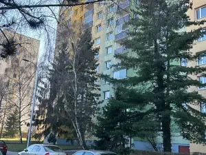 Prodej bytu 1+kk, Praha - Kamýk, Otradovická, 37 m2