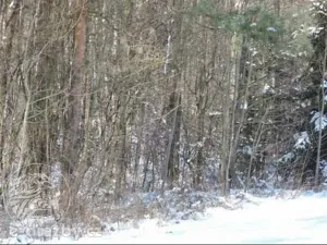 Dražba pozemku, Hamr na Jezeře, 23639 m2