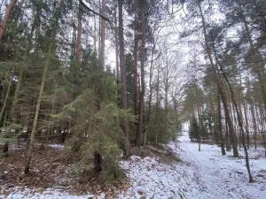 Prodej pozemku, Veliny, 180 m2