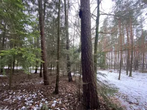 Prodej pozemku, Veliny, 180 m2