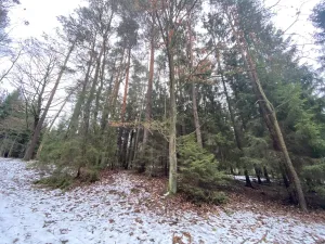 Prodej pozemku, Veliny, 180 m2