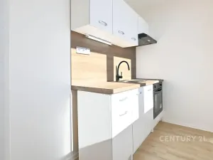 Pronájem bytu 1+1, Most, Růžová, 26 m2