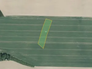 Prodej pole, Hořice, 66972 m2