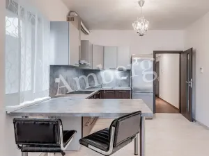 Pronájem bytu 1+kk, Praha - Karlín, U Mlýnského kanálu, 37 m2