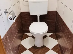 Pronájem bytu 3+kk, Brno, Srbská, 90 m2