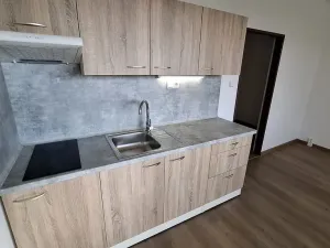 Pronájem bytu 1+kk, Plzeň, Sokolovská, 30 m2