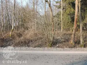 Dražba pole, Semanín, 9293 m2