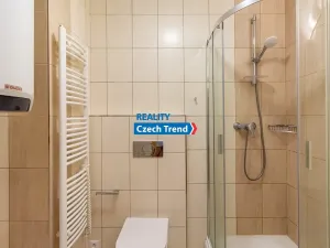 Pronájem bytu 2+kk, Lipník nad Bečvou, Nerudova, 29 m2