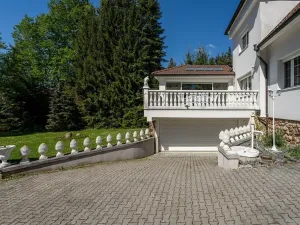 Prodej rodinného domu, Družec, V Zátiší, 289 m2